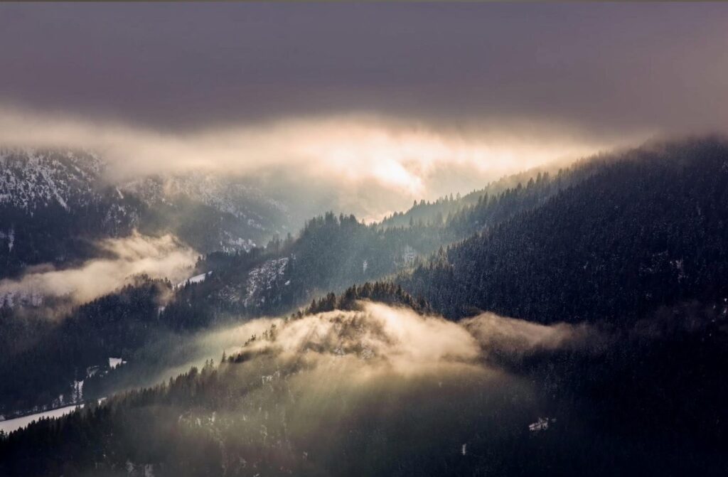 Nebelstimmung über den bewaldeten Allgäuer Bergen