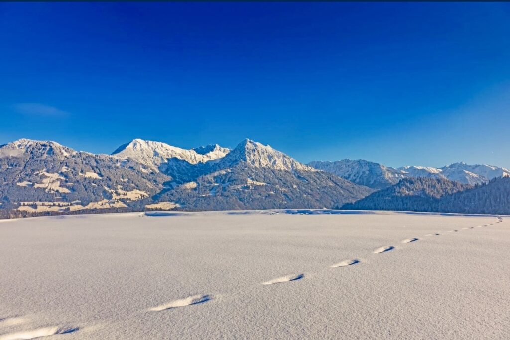 Verschneite Wiese vor den Allgäuer Gipfeln