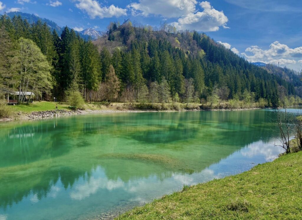 Türkisgrüner See am Waldrand im Allgäu